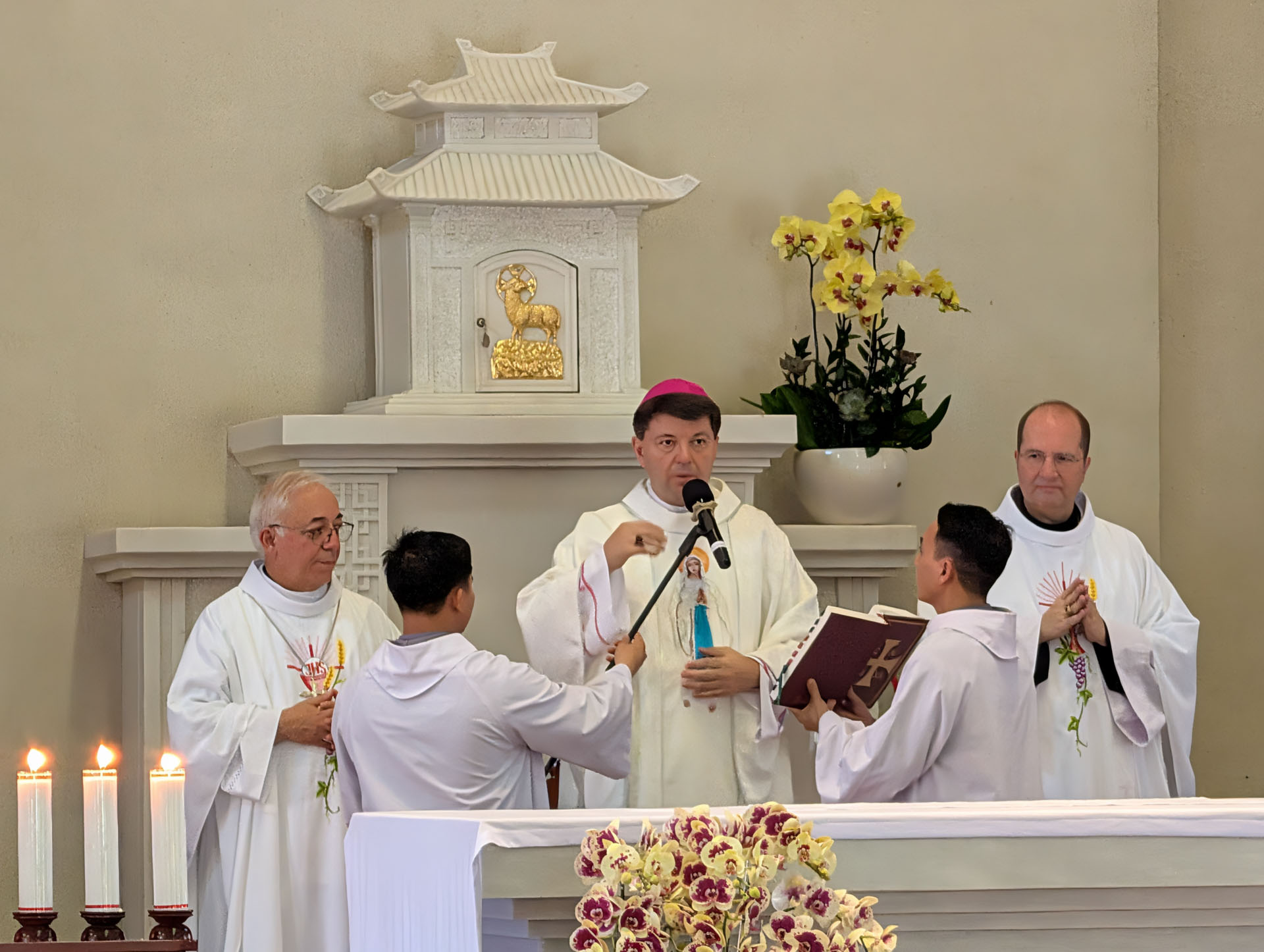 PXL_20251014_052946824.TS-000